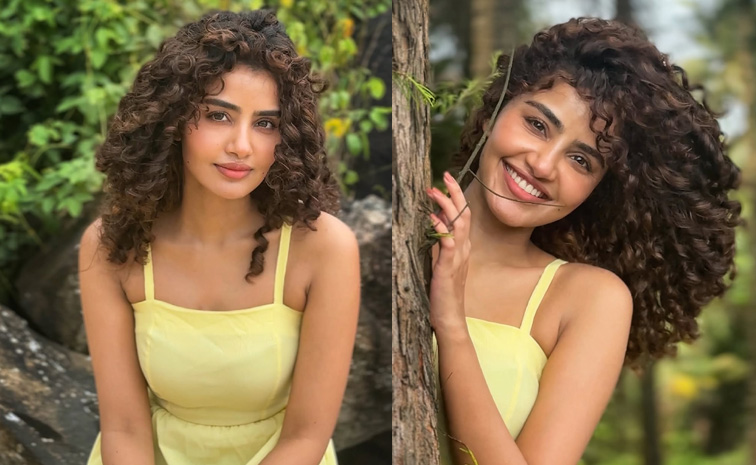 అనుపమ పరమేశ్వరన్ సోషల్ మీడియా పోస్ట్: బ్రేకప్ రూమర్లపై చర్చ