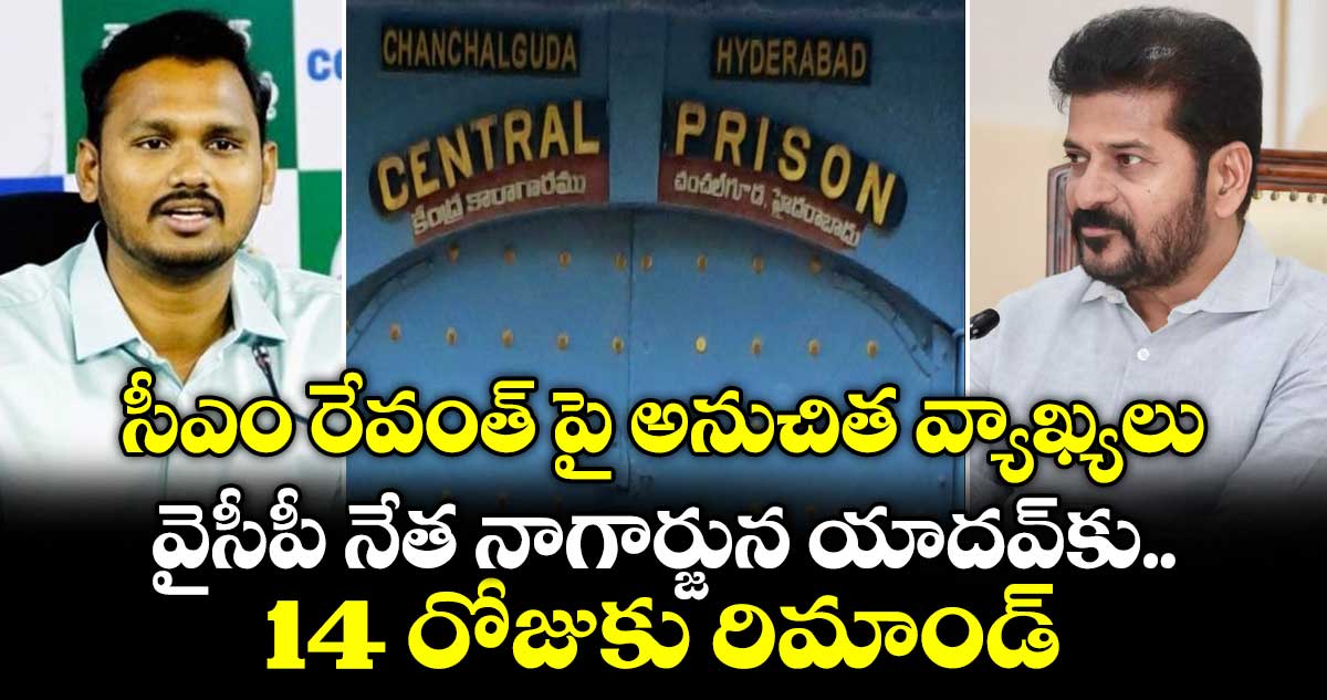 వైసీపీ నాయకుడు నాగార్జున యాదవ్కు 14 రోజుల రిమాండ్
