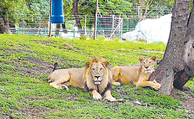 ఈ 'రారాజు'కు ఓ రోజు!