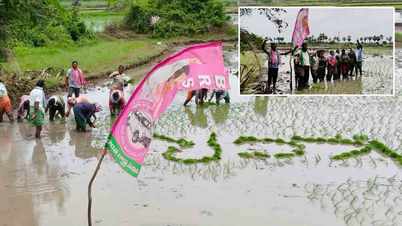 ఖమ్మం: వరినాట్లు వేస్తూ కేసీఆర్ పాటలతో మహిళల సందడి